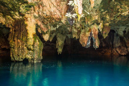 Cenote La Noria